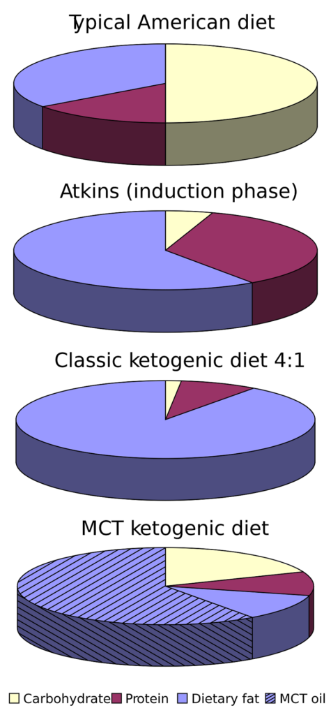 Low Carb vs Keto Diet